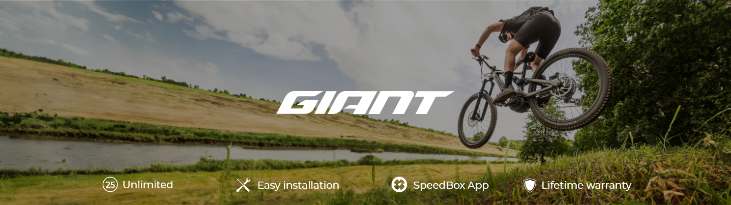 Giant bike tune discount up