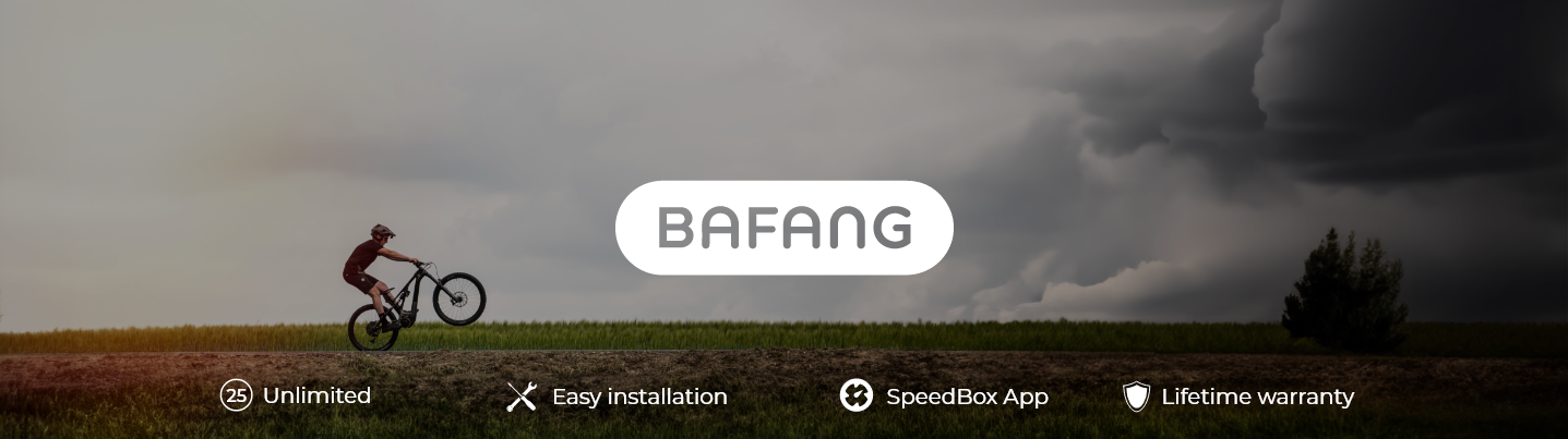 SpeedBox 3.1 pour Bafang (connecteur 4 broches) - Emballage: Boîte, Qté: 1  pcs :: SpeedBox Tuning